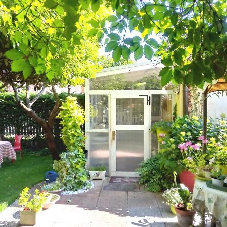 Bed And Breakfast Di Manu Taglio Di Po Exterior photo