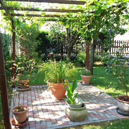 Bed And Breakfast Di Manu Taglio Di Po Exterior photo