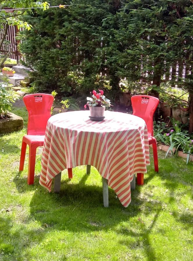 Bed And Breakfast Di Manu Taglio Di Po Exterior photo