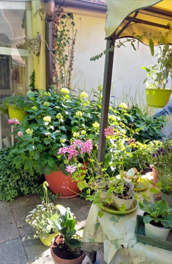 Bed And Breakfast Di Manu Taglio Di Po Exterior photo