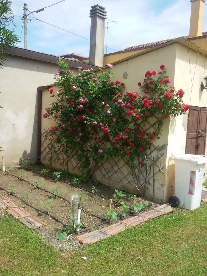 Bed And Breakfast Di Manu Taglio Di Po Exterior photo